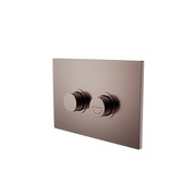 Mecca Care Raised Disabled Care Pneumatic Flush Buttons Plate DDA Compliant  Brushed Bronze gallery detail image
