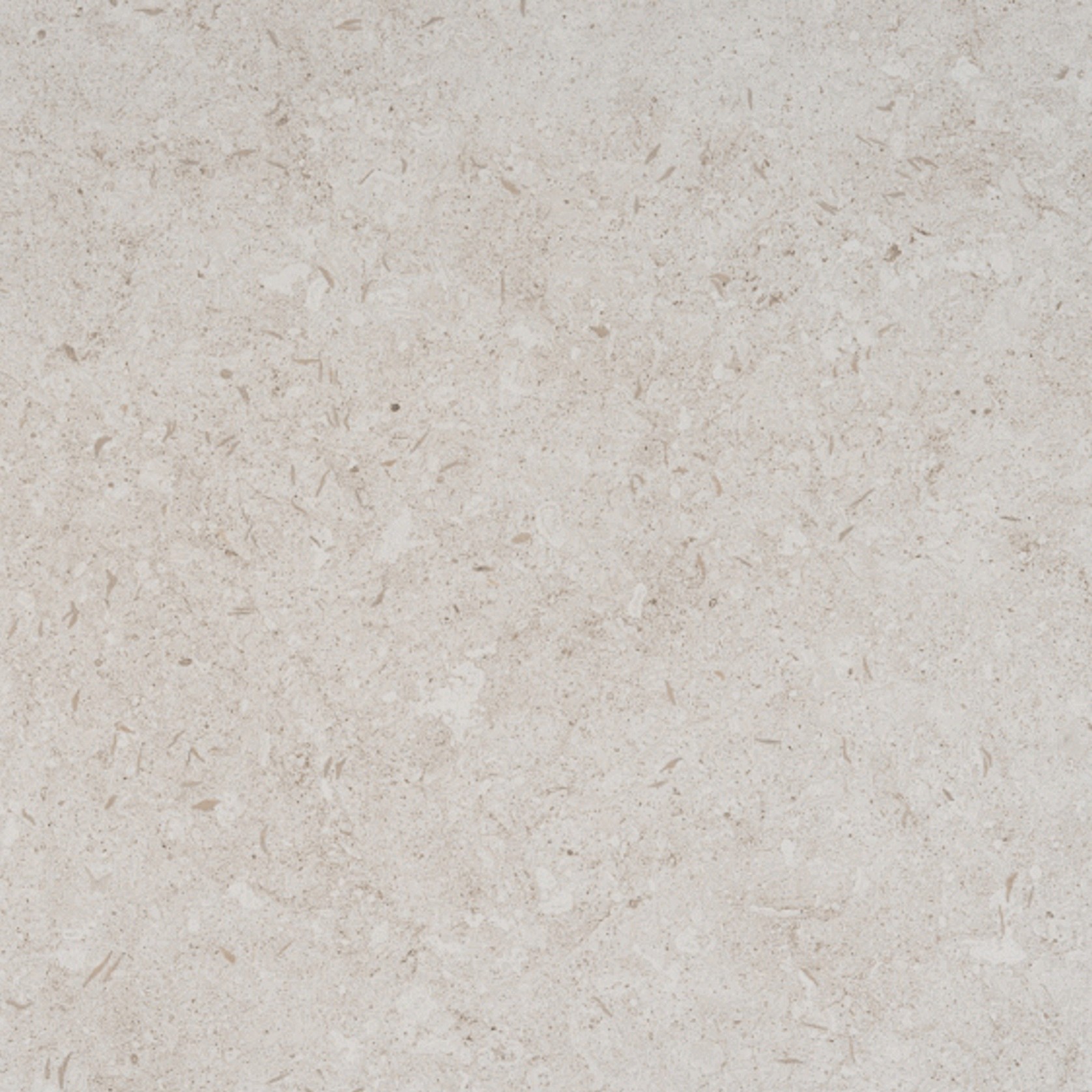 Nebbia VK01 KC gallery detail image