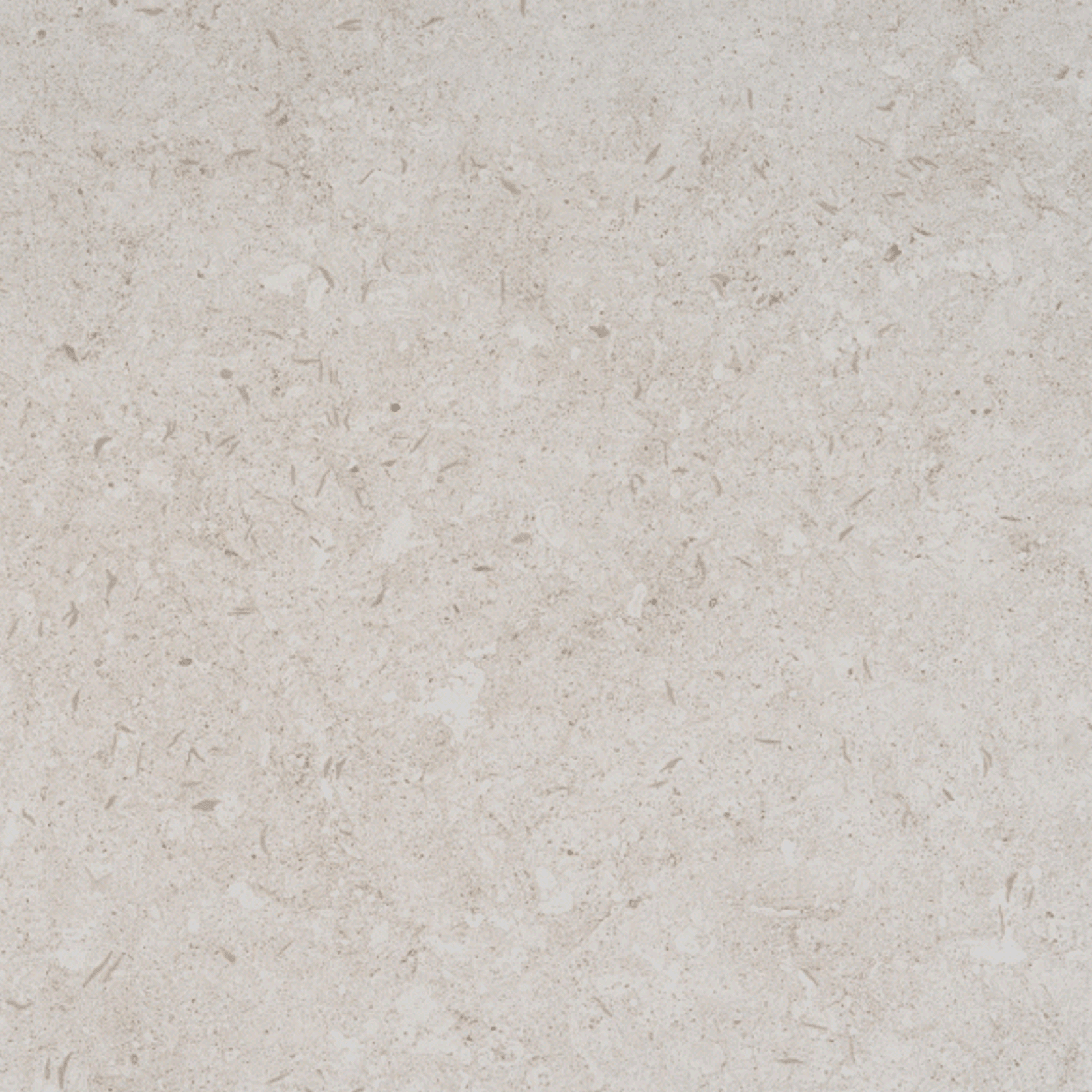 Nebbia VK01 KC gallery detail image