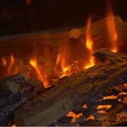 New Forest 1200 Electric Fireplace gallery detail image