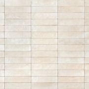 Noho Ivory Matt 6x25 gallery detail image