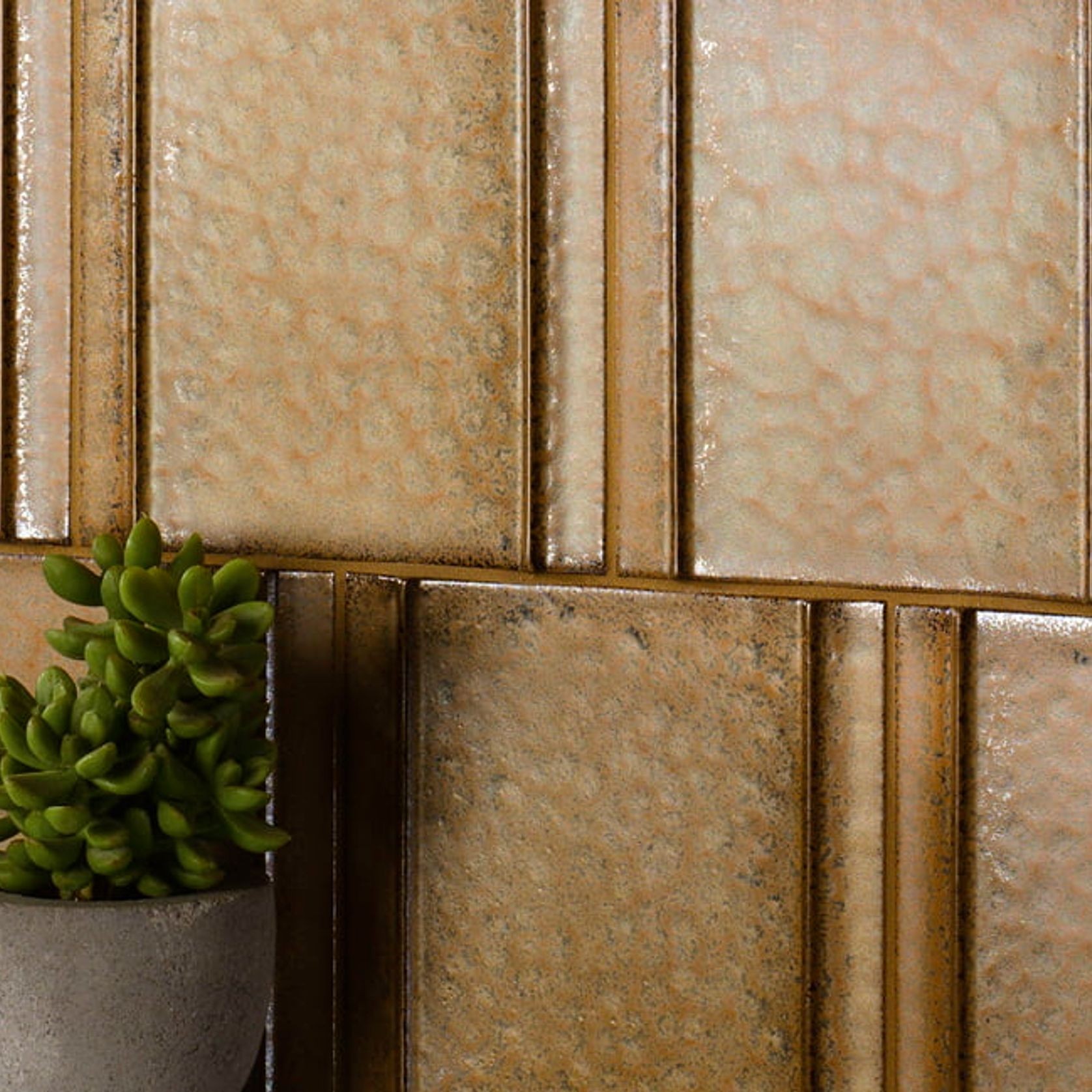 Ebusi Nut B 150x150 gallery detail image