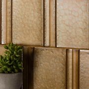 Ebusi Nut B 150x150 gallery detail image