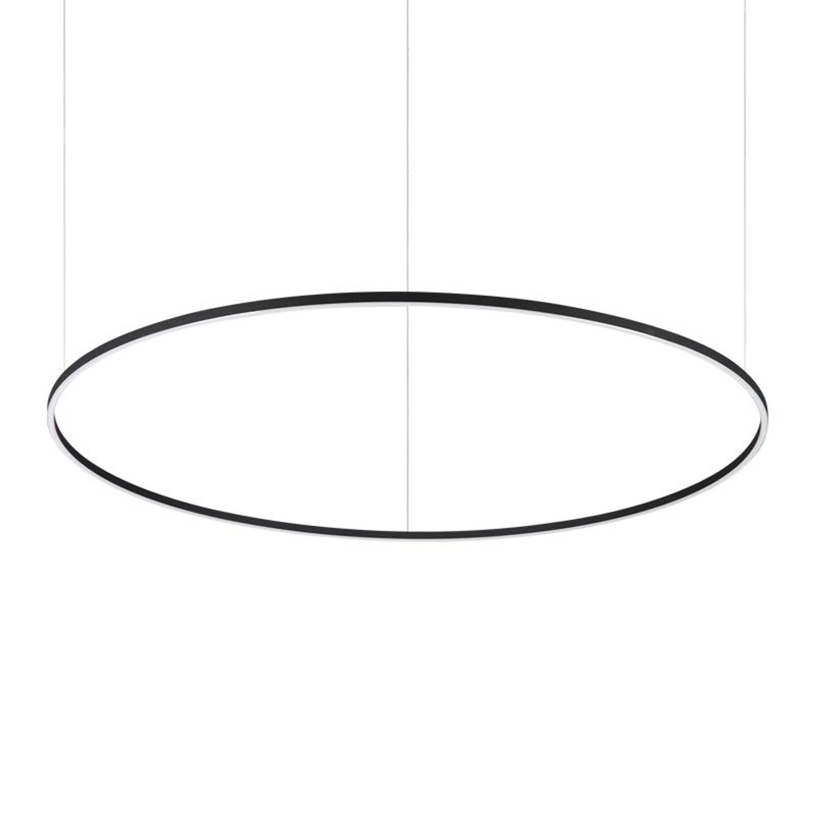 Oracle Slim 150cm Pendant gallery detail image