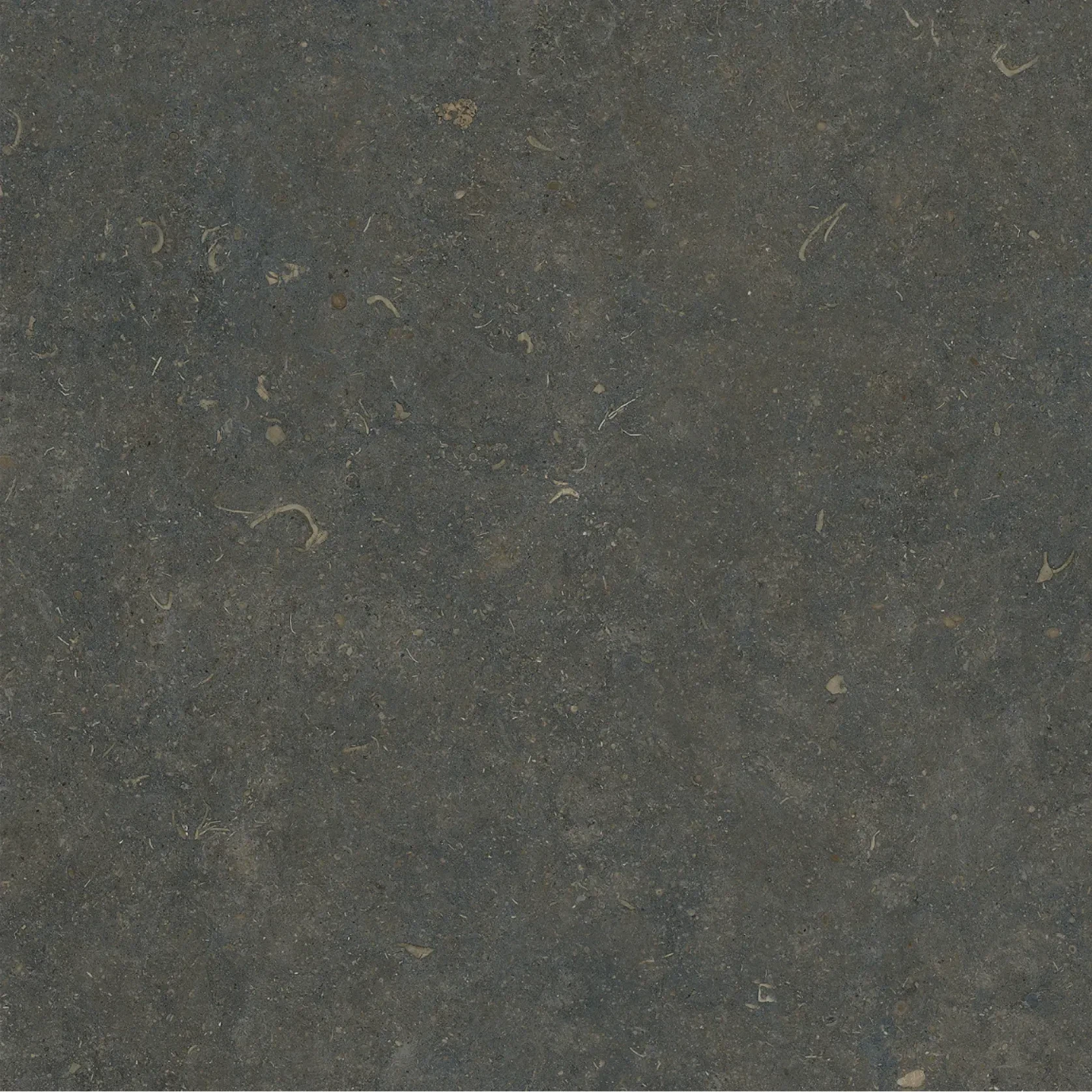 Orla Classic Soft Texture 60x60 gallery detail image