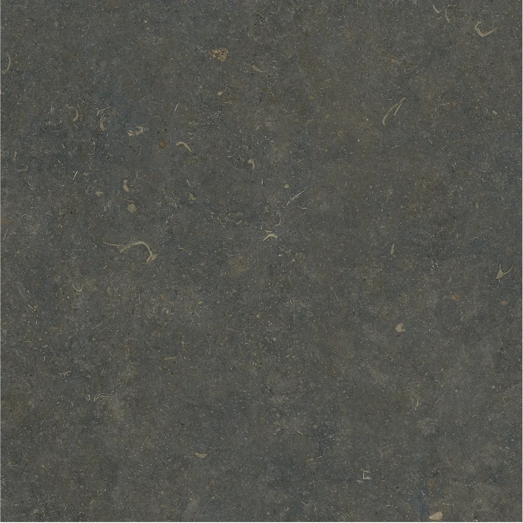 Orla Classic Soft Texture 60x60 gallery detail image