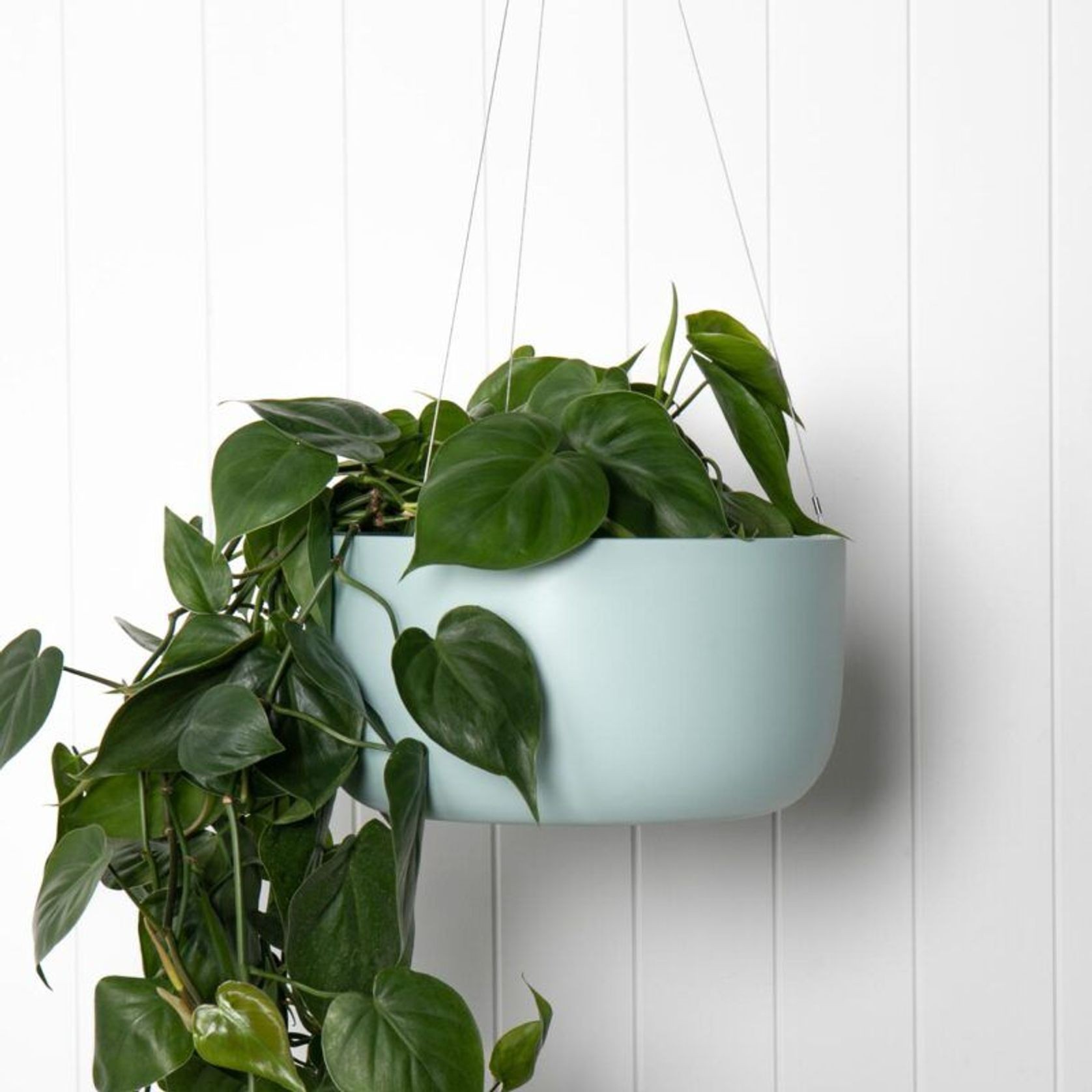 Oslo Hanger gallery detail image