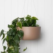 Oslo Hanger gallery detail image