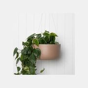 Oslo Hanger gallery detail image