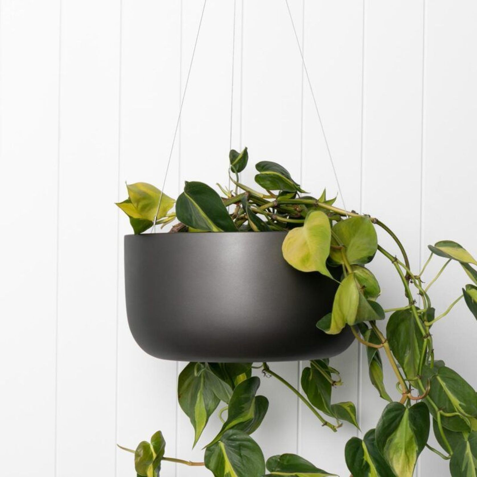 Oslo Hanger gallery detail image