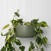 Oslo Hanger gallery detail image