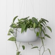 Oslo Hanger gallery detail image