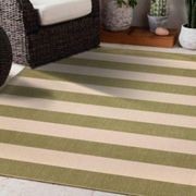 Nyoma Lime Striped Outdoor Rug gallery detail image