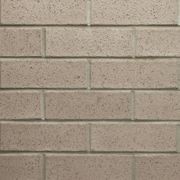 Silver Birch - Origin | Austral Bricks gallery detail image