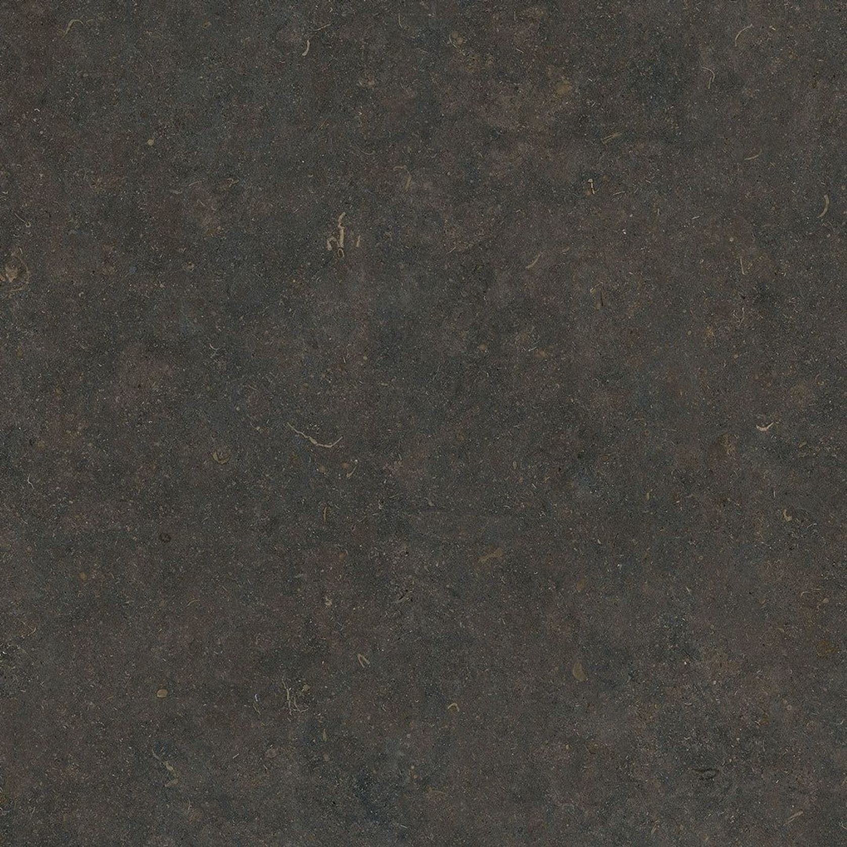 Orla Classic Soft Textured 60x120 gallery detail image