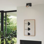 Pitcher 2-Spot Downlight gallery detail image