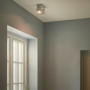 Pitcher 2-Spot Downlight gallery detail image