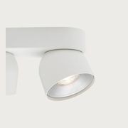 Pitcher 2-Spot Downlight gallery detail image