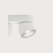 Pitcher 2-Spot Downlight gallery detail image