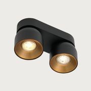 Pitcher 2-Spot Downlight gallery detail image