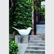 Paloma gallery detail image