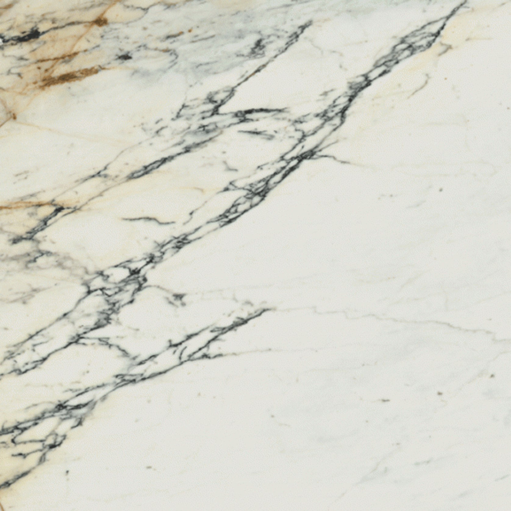 Paonazzo gallery detail image