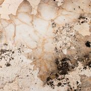 Patagonia | Natural Stone Slab gallery detail image