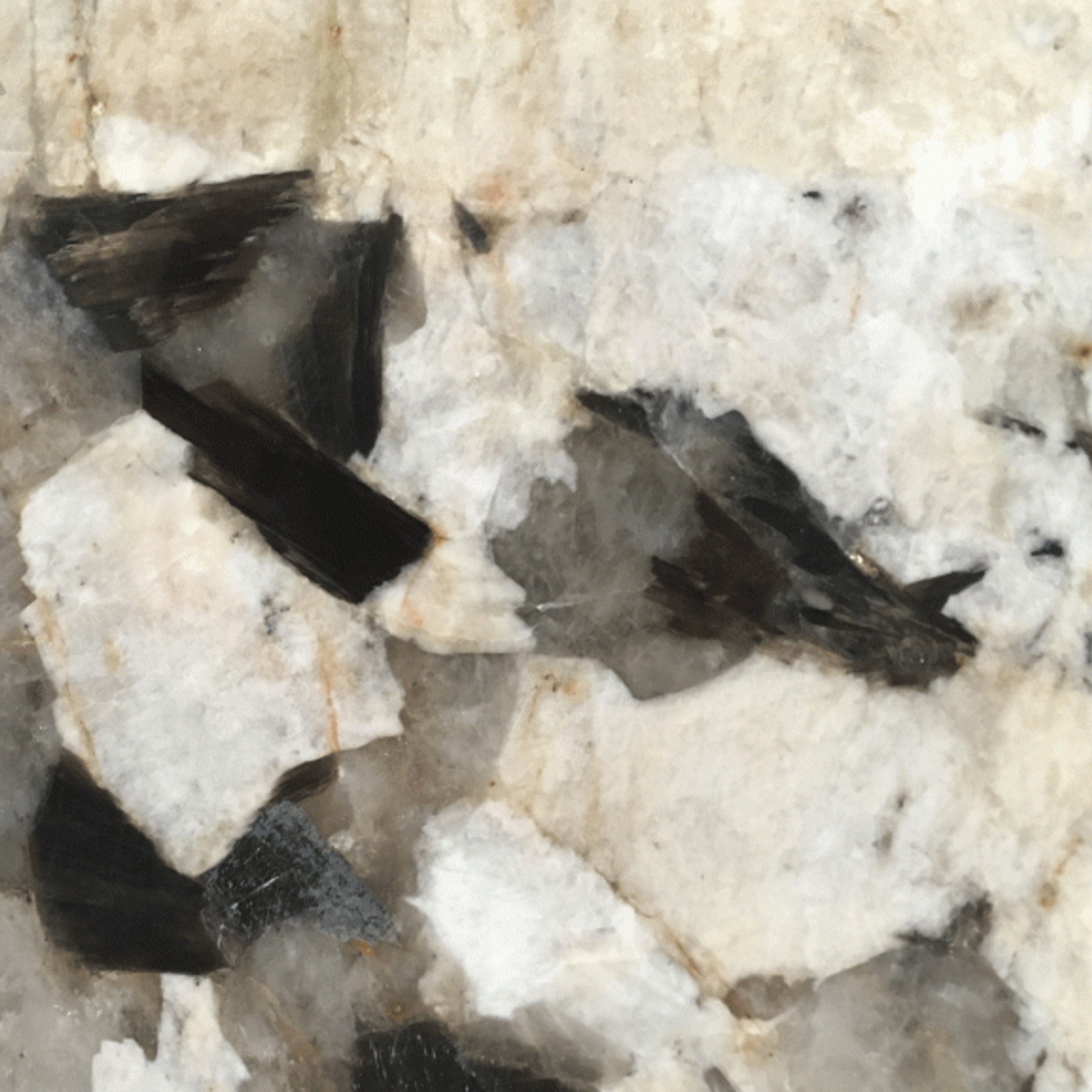 Patagonia gallery detail image