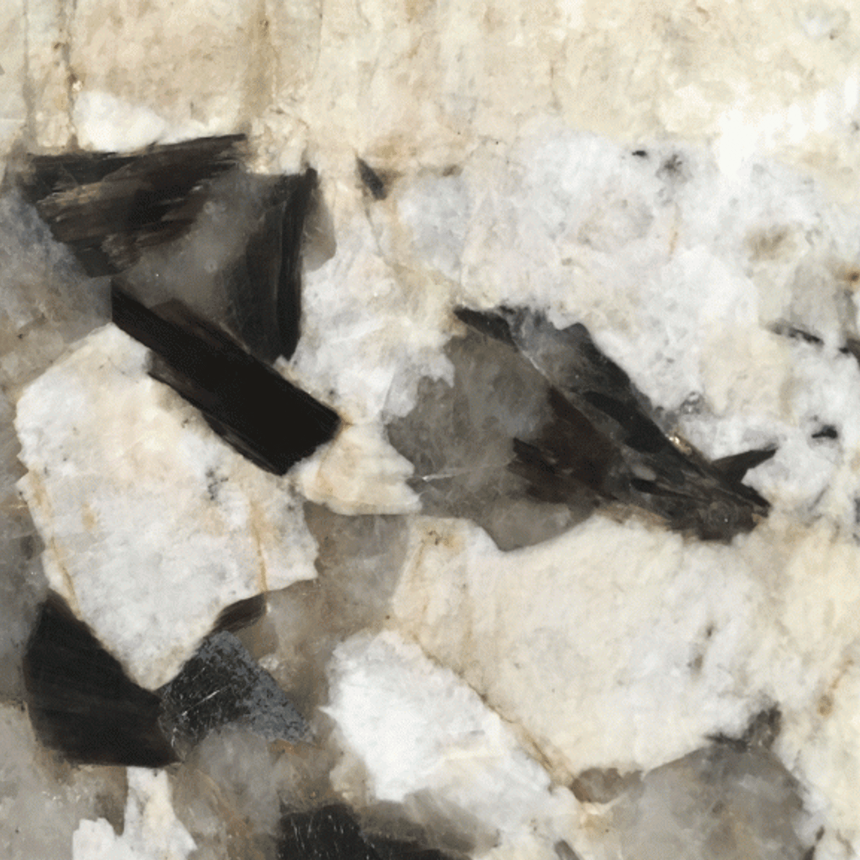 Patagonia gallery detail image