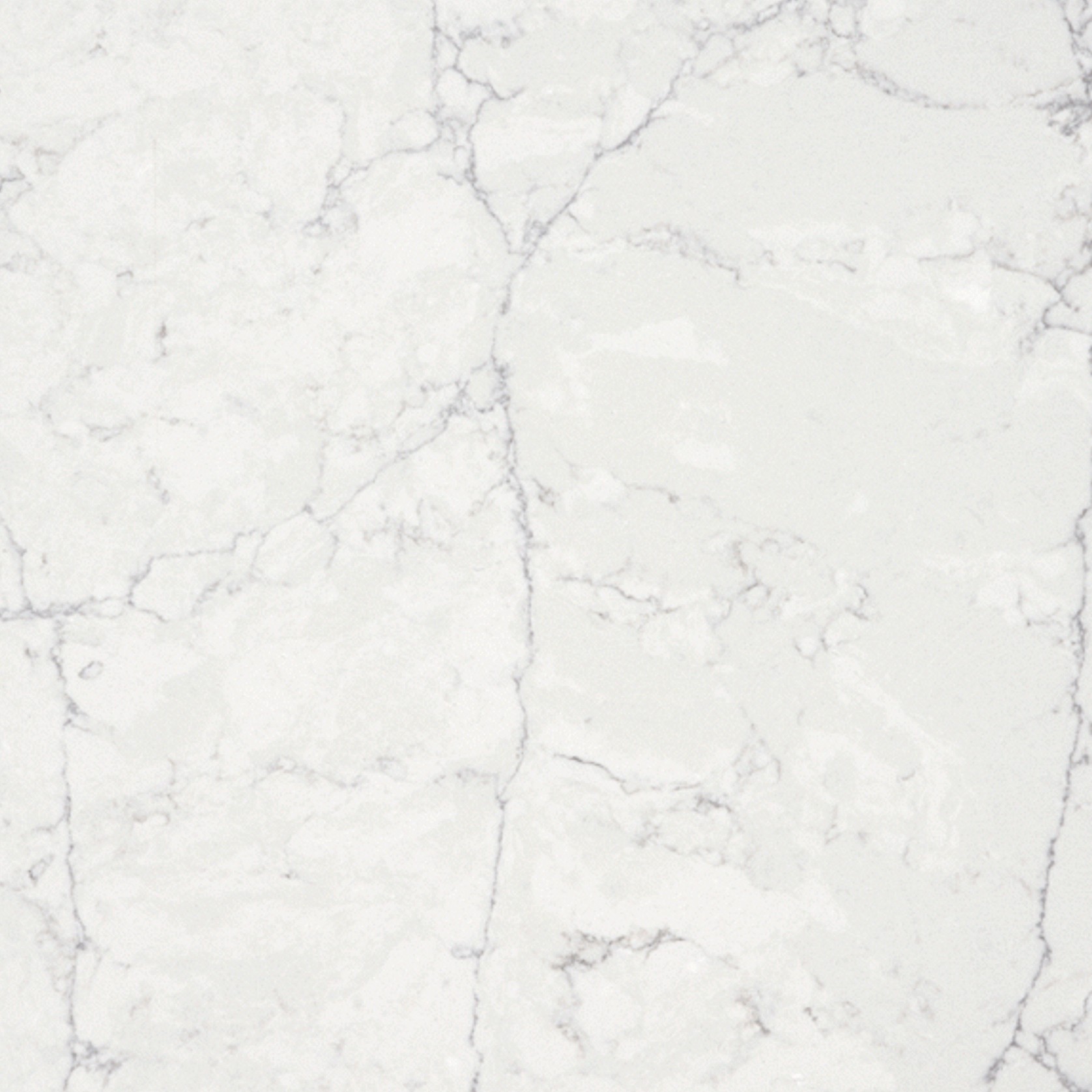 Pearl Jasmine gallery detail image