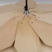 Petal Pendant - 500 gallery detail image
