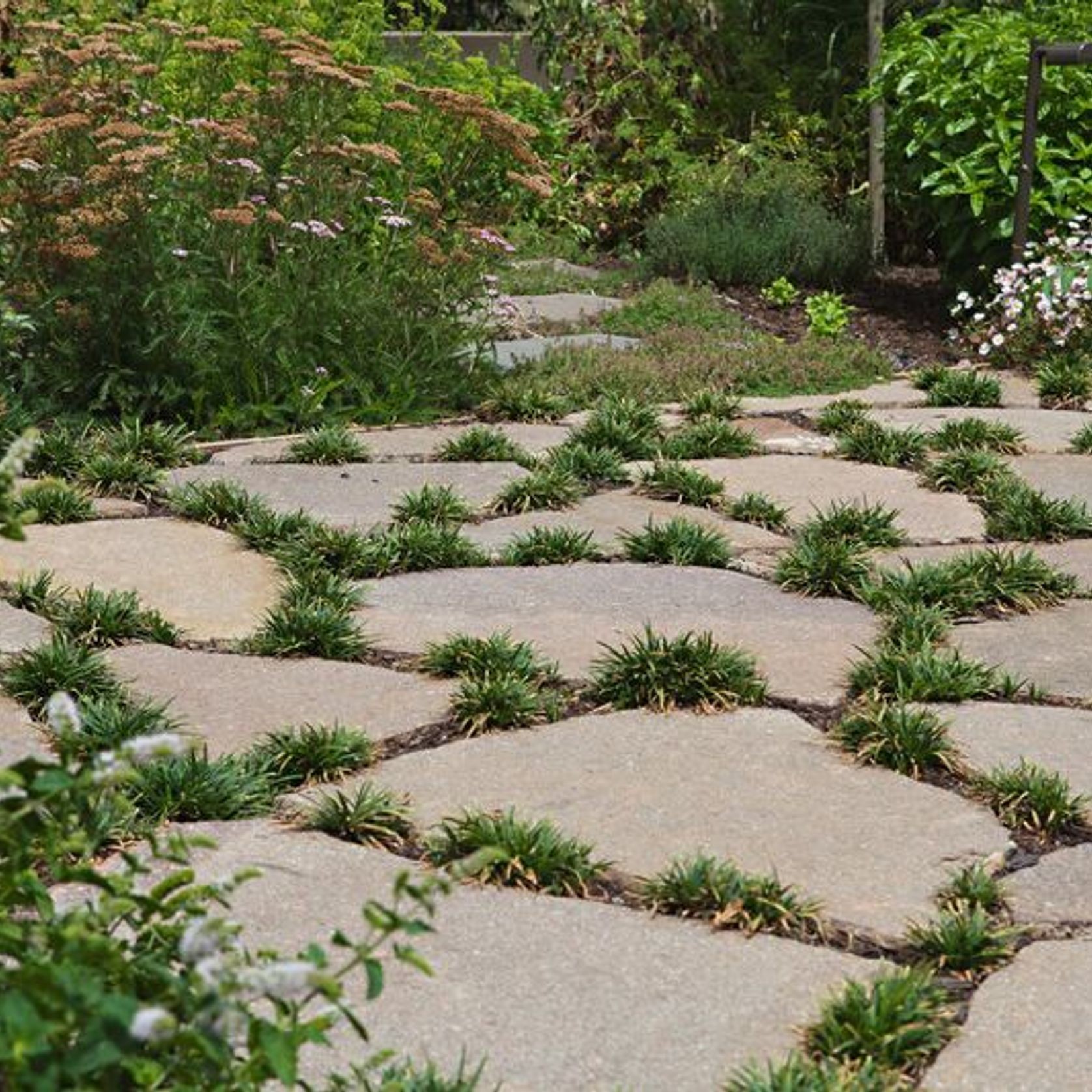 Italian Porphyry Crazy Paving gallery detail image