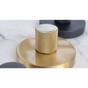 Atelier Privacy Lock With Latch - Brass gallery detail image