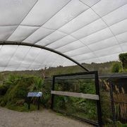 Metal Mesh Structures | by Fabric Structures gallery detail image