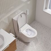 Purity Bidet Seat With Remote gallery detail image