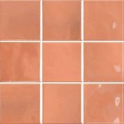 Rebel Coral Gloss 100x100mm gallery detail image