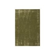 Avery Rug - Grass 200cm x 300cm gallery detail image