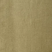 Mesa Outdoor Rug - Eucalyptus 250cm x 350cm gallery detail image