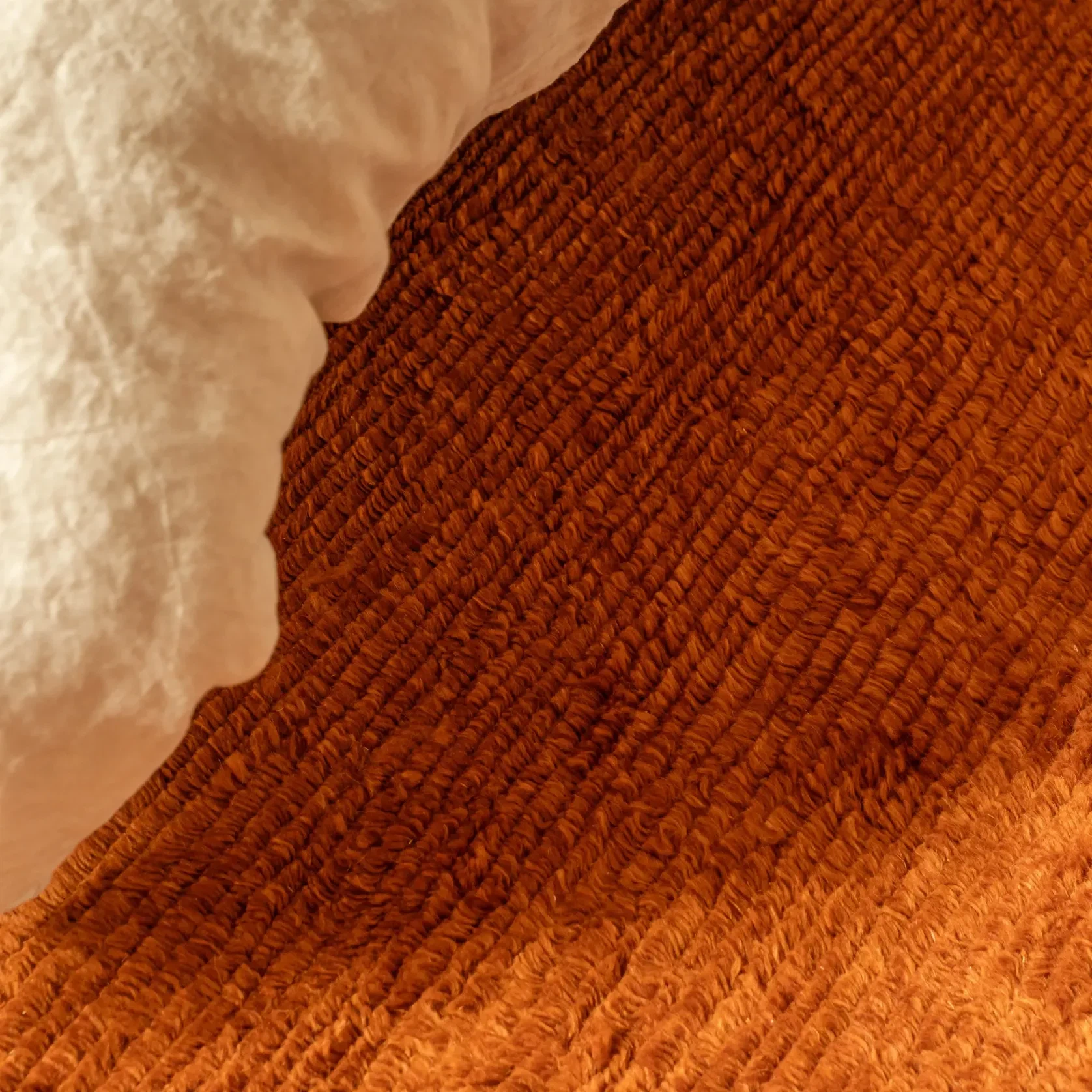 Rico Rug - Paprika 300cm x 400cm gallery detail image