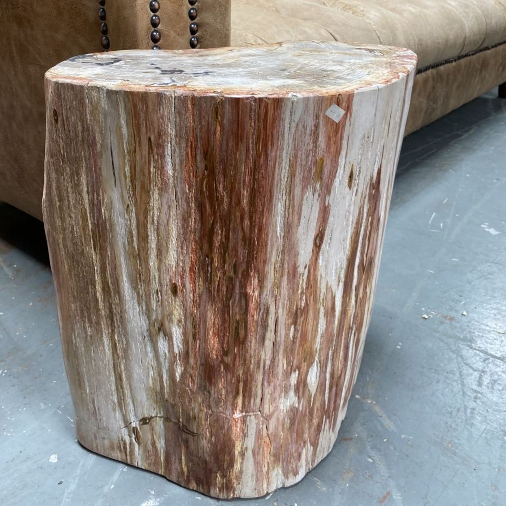 Petrified Wood Occasional Side Table gallery detail image