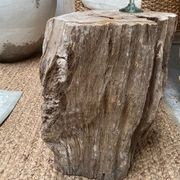 Petrified Wood Occasional Side Table Rustic Natural gallery detail image
