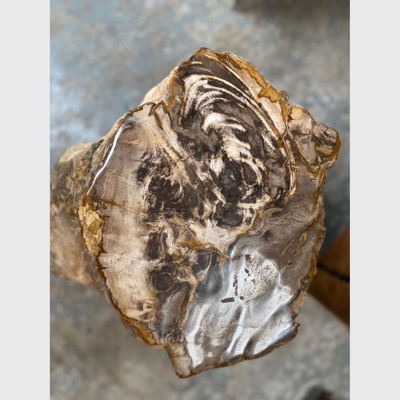 Petrified Wood Occasional Side Table Rustic Brown gallery detail image
