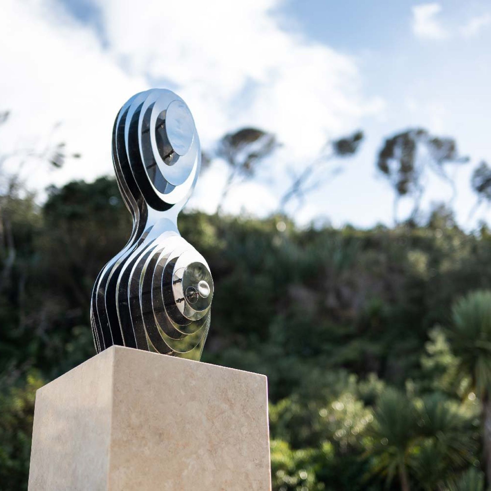 Reflection Torso by Bespoke Sculpture gallery detail image