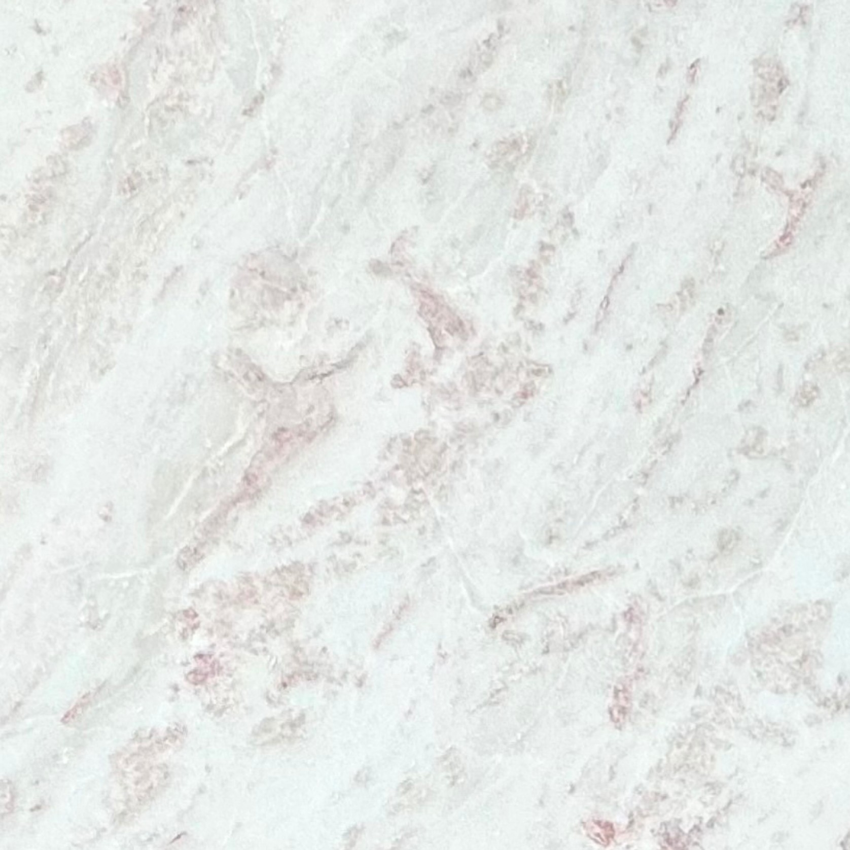 Rhino Pink | Marble | Honed gallery detail image