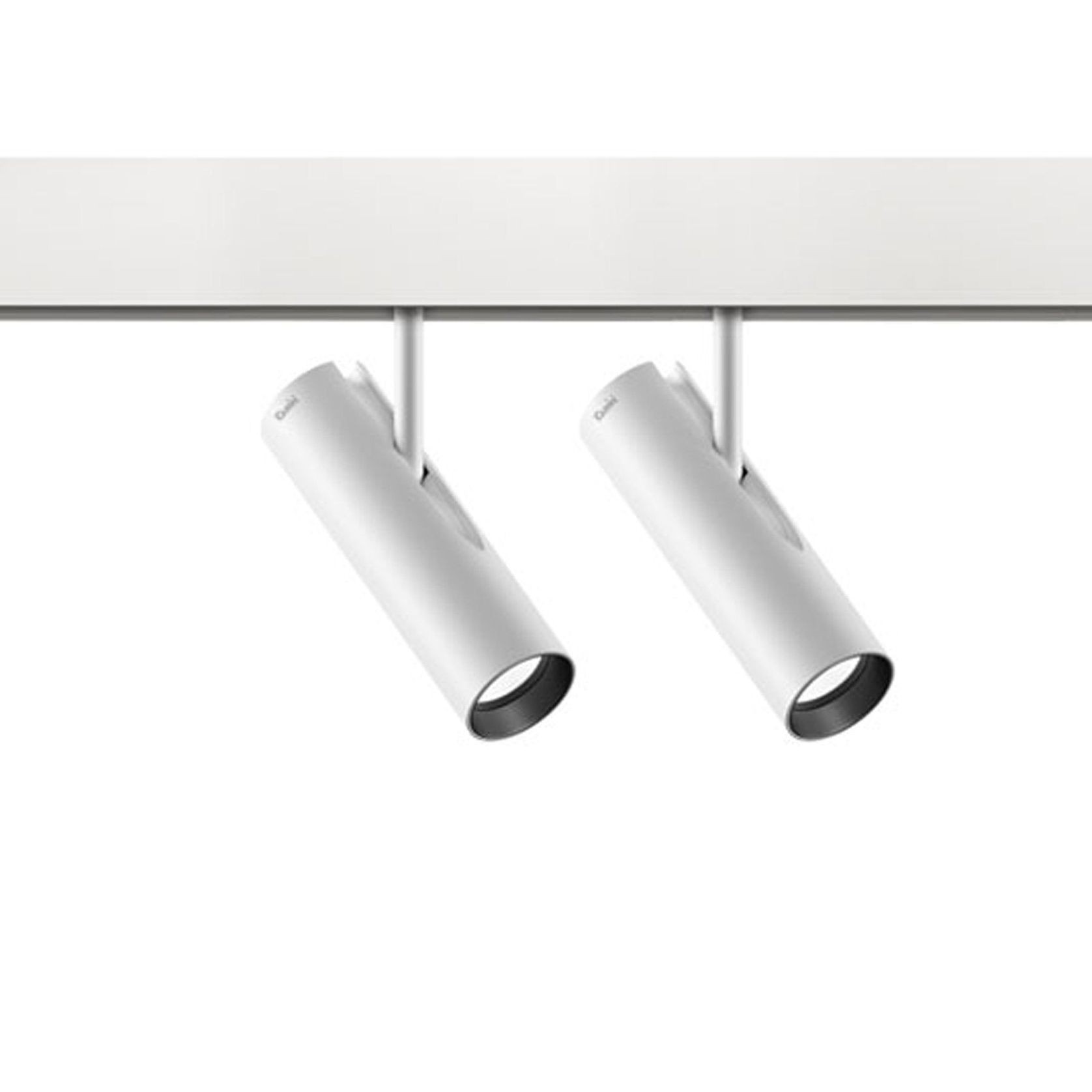 Robin gallery detail image