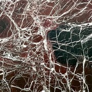 Rosso Levanto | Marble | Honed gallery detail image