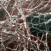 Rosso Levanto | Marble | Honed gallery detail image
