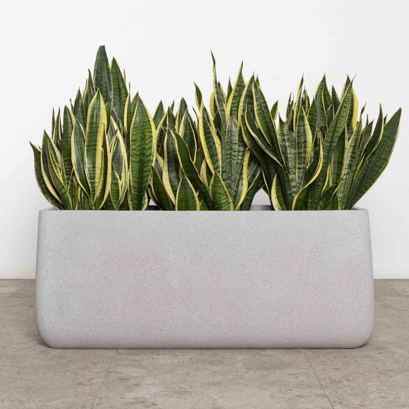 Sardinia Trough gallery detail image