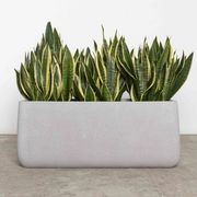 Sardinia Trough gallery detail image