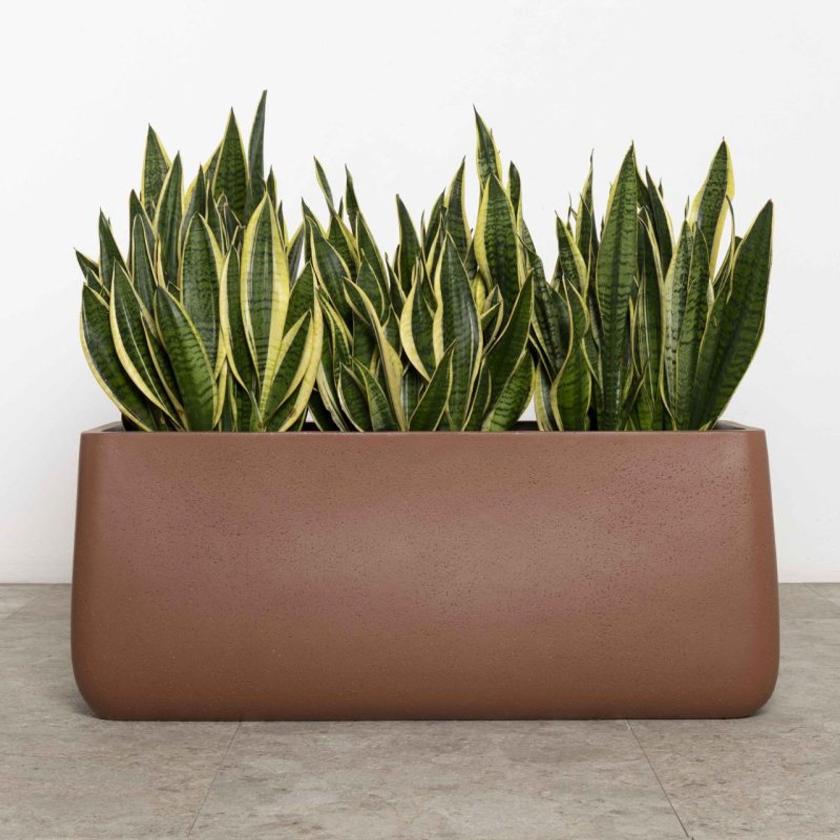 Sardinia Trough gallery detail image